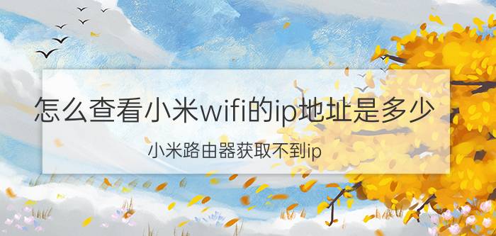 怎么查看小米wifi的ip地址是多少 小米路由器获取不到ip？